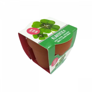 Grow Your Own Oxalis (per stuk)