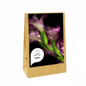 A Gift for you - Gladiolus (Kraftzak)