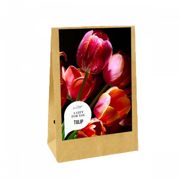 A Gift for you - Tulipa (Kraftzak)