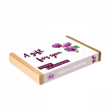 A gift for you - Anemone met bollensteker