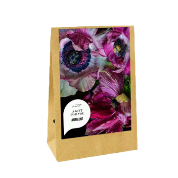A Gift for you - Anemone (Kraftzak)