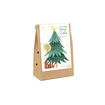 Grow Your Own Christmas Tree - Kraftzak